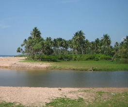 Ayu Suwathaa (former Kuma Villa)